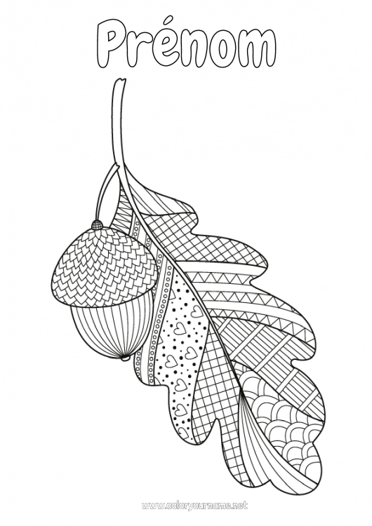 Coloriage à imprimer Automne Zentangle Anti-stress Gland Chêne