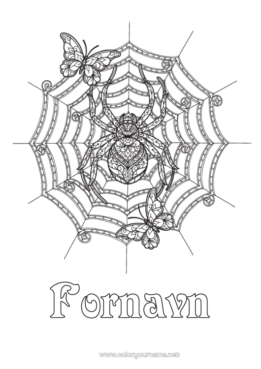 Fargeleggingssiden til utskrift Edderkopp Halloween Sommerfugl Komplekse fargelegginger Zentangle Insekter Edderkoppnett