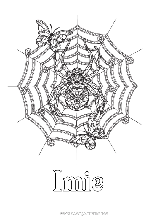 Kolorowanka do wydruku Pająk Halloween Motyl Złożone kolorowanki Zentangle Owady Sieć pajęcza