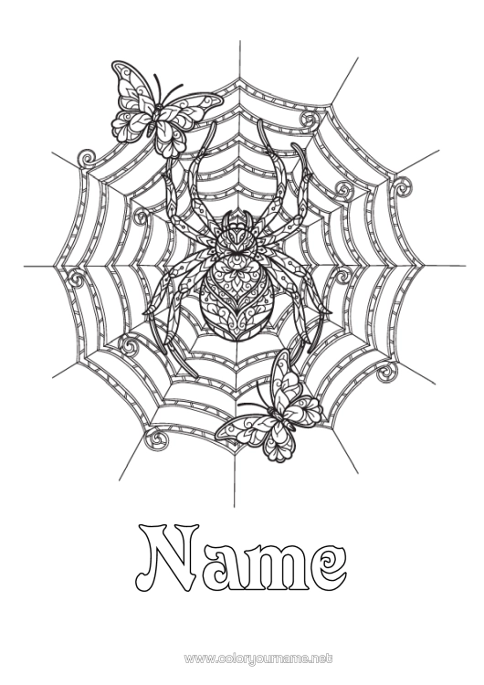 Colouring page to print Spider Halloween Butterfly Complex Colouring Pages Zentangle Insects Cobweb