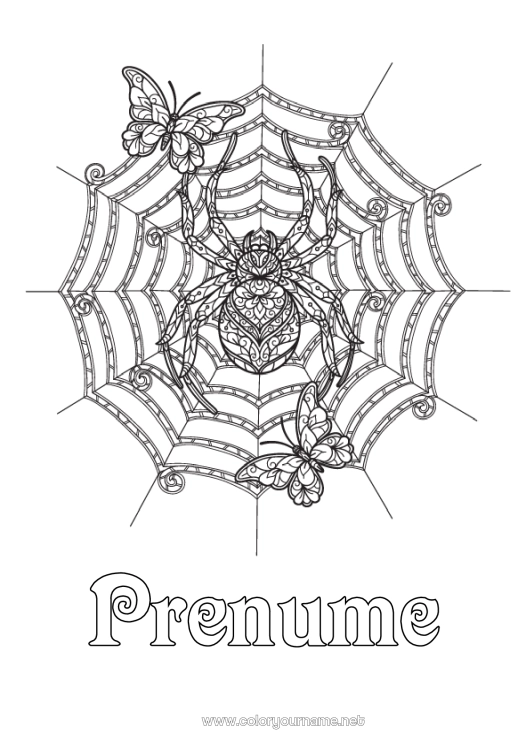 Pagină de colorat de imprimat Păianjen Halloween Fluture Desene de colorat complexe Zentangle Insecte Pânză de păianjen