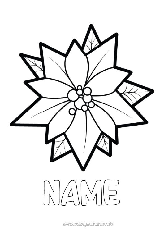 Colouring page to print Flowers Christmas Easy Colouring Pages Poinsettia