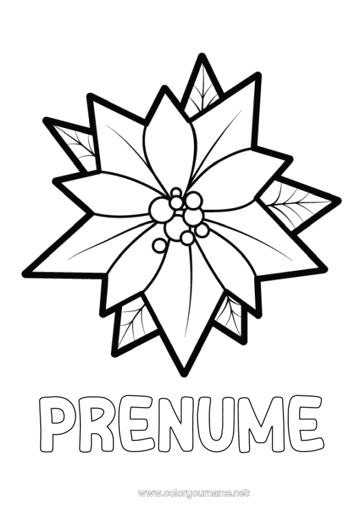 Pagină de colorat de imprimat Flori Crăciun Desene de colorat ușoare Poinsettia