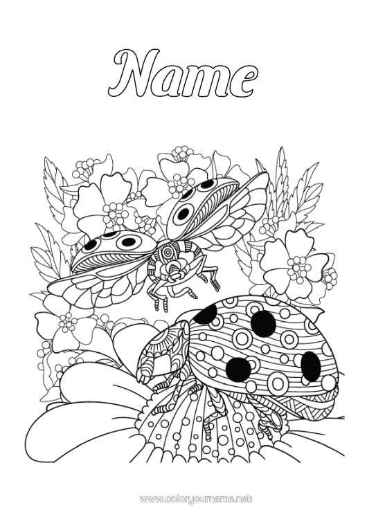 Colouring page to print Animal Ladybird Complex Colouring Pages Insects