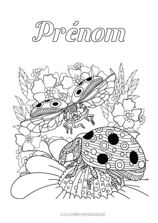 Coloriage à imprimer Animal Coccinelle Coloriages complexes Insectes