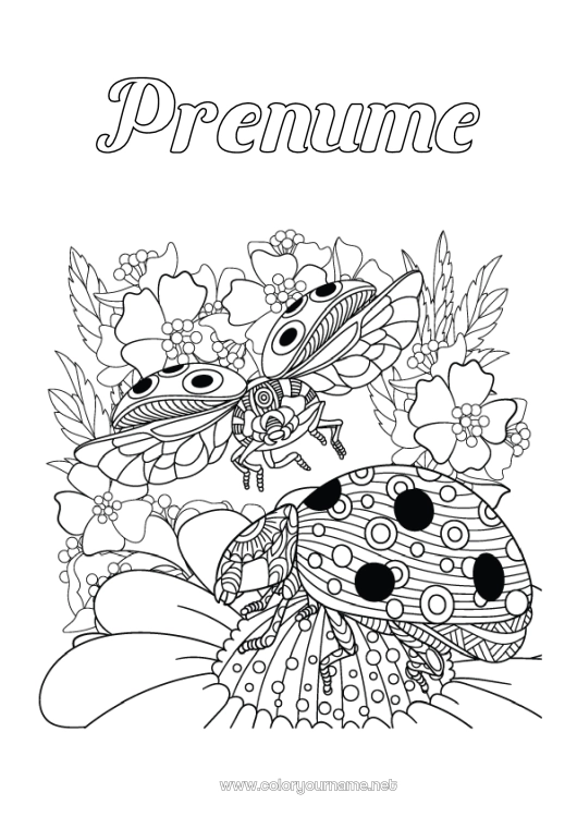 Pagină de colorat de imprimat Animal Gărgăriță Desene de colorat complexe Insecte