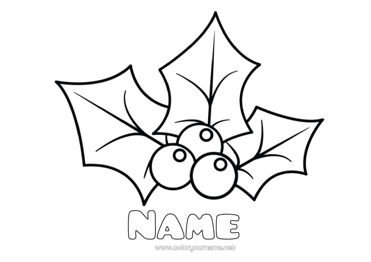 Colouring page to print Holly Easy Colouring Pages