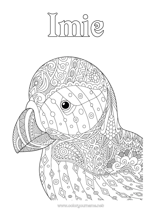 Kolorowanka do wydruku Ptak Zwierzę Zentangle Ptaki i latające ssaki Islandia Maskonur