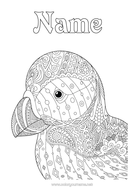 Colouring page to print Bird Animal Zentangle Birds And Flying Mammals Iceland Puffin