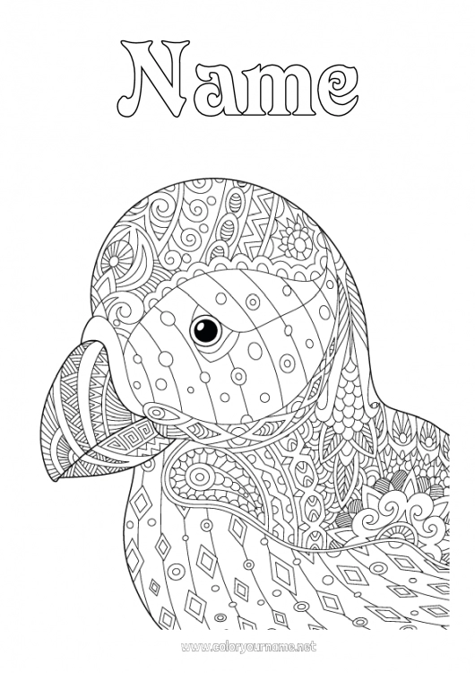 Coloring page to print Bird Zentangle Flying birds and mammals Iceland Puffin