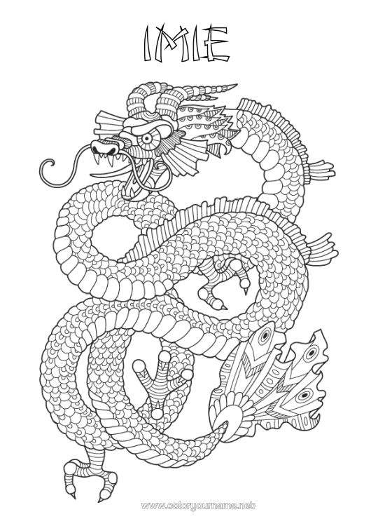 Kolorowanka do wydruku Smok Zwierzę Złożone kolorowanki Zentangle Smoki, jednorożce i fantastyczne zwierzęta