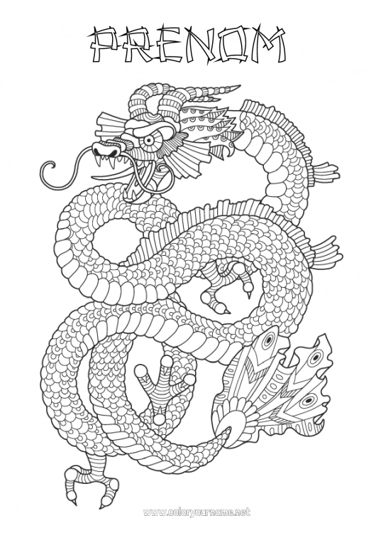 Coloriage à imprimer Dragon Coloriages complexes Zentangle Dragons, licornes et animaux fantastiques