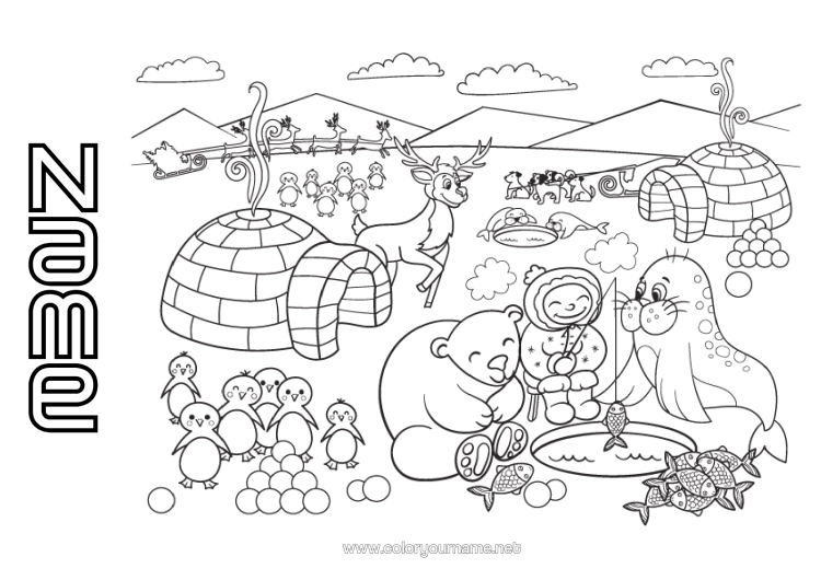Colouring page to print Bear Snow Reindeer Penguin, Tuxedo Animal Seal Marine Or Aquatic Animals Birds And Flying Mammals Forest Animals Igloo North Pole Lapland Pack Ice Polar Bear