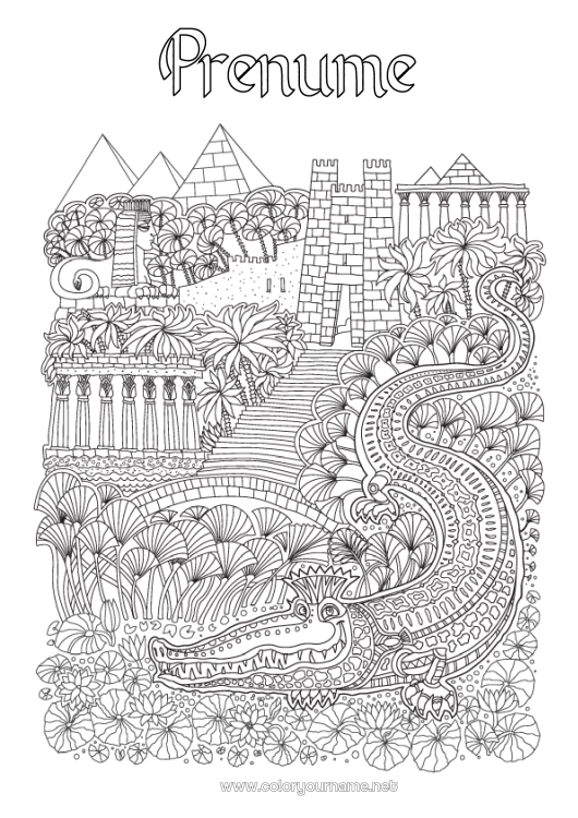 Pagină de colorat de imprimat Crocodil Egipt Desene de colorat complexe Zentangle Țară Reptile Piramidă Faraon Istorie