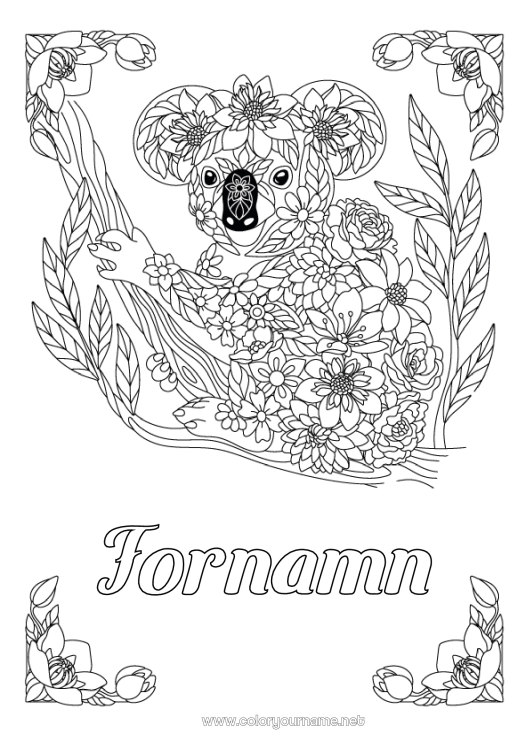 Färgläggningssida att skriva ut Djur Koala Zentangle Australien Andra djur i världen