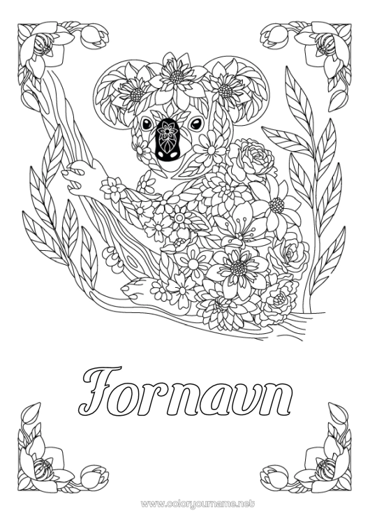 Fargeleggingssiden til utskrift Dyr Koala Zentangle Australia Andre dyr i verden