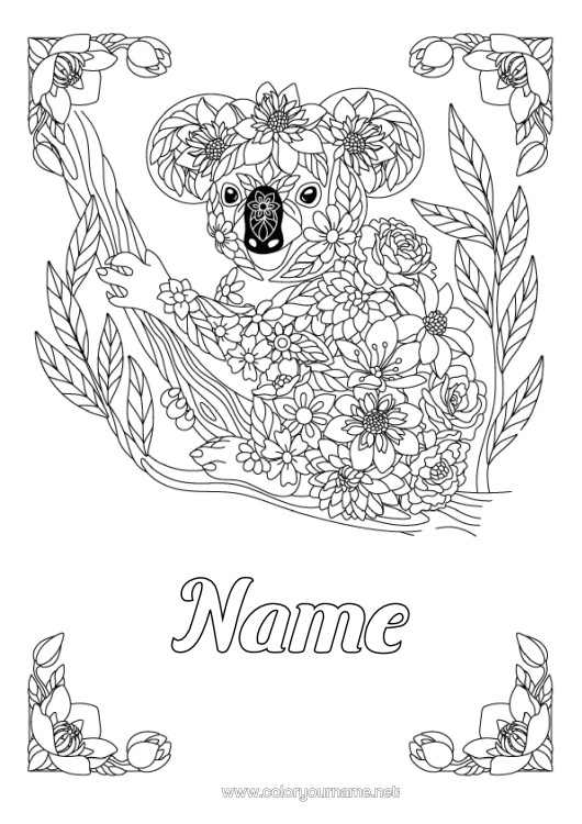 Colouring page to print Animal Koala Zentangle Australia Other Animals Of The World Animals Of Australia
