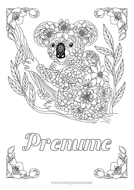 Pagină de colorat de imprimat Animal Koala Zentangle Australia - Australia Alte animale din lume