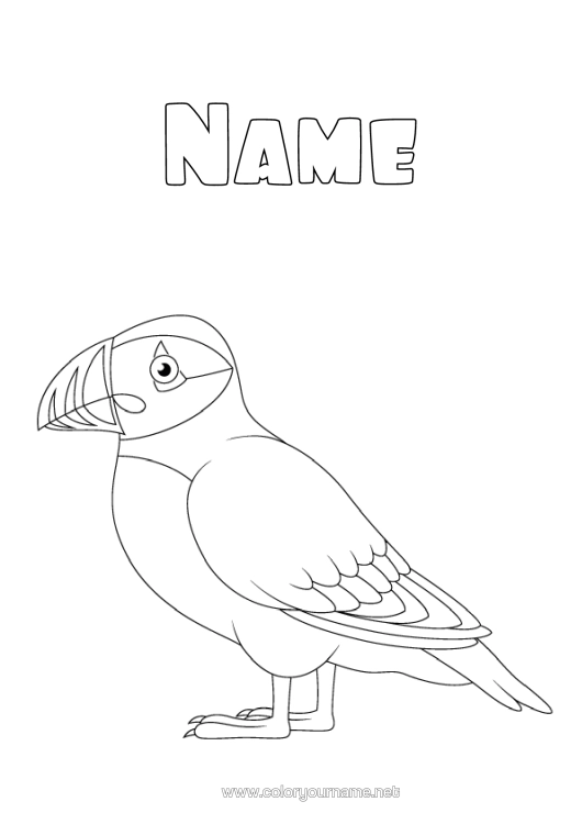 Colouring page to print Animal Birds And Flying Mammals Iceland Puffin