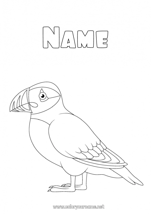 Coloring page to print Animal Flying birds and mammals Iceland Puffin