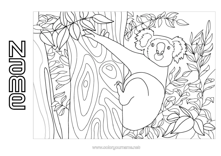 Colouring page to print Animal Koala Australia Other Animals Of The World Animals Of Australia