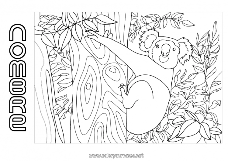 Dibujo para colorear para imprimir Animales Koala Australia Otros animales del mundo