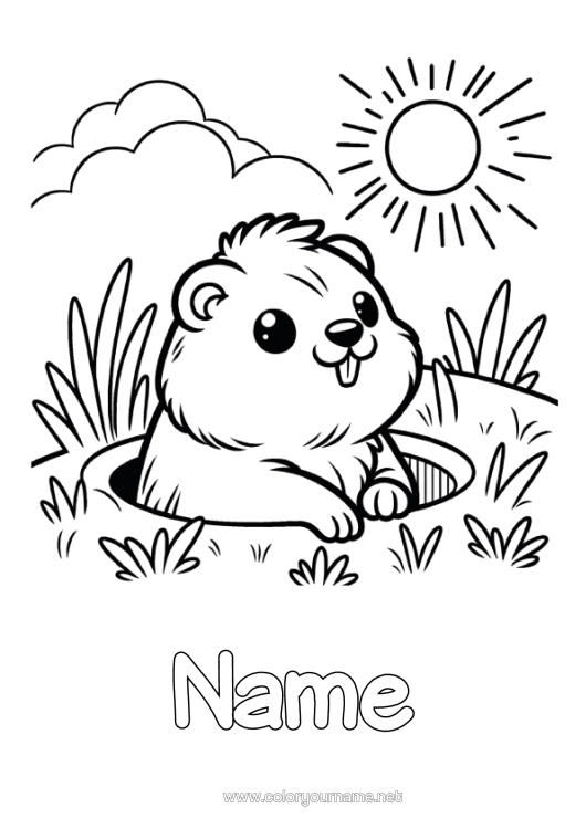 Colouring page to print Sun Animal Forest Animals Marmot Groundhog Day
