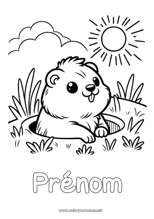 Coloriage à imprimer Soleil Animaux de la forêt Marmotte Jour de la Marmotte