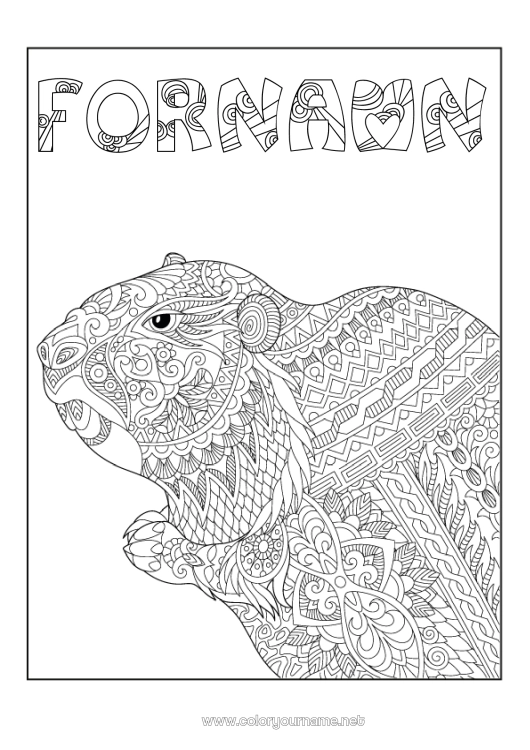 Färgläggningssida att skriva ut Djur Komplexa målarbilder Zentangle Skogens djur Marmott. Marmottens dag