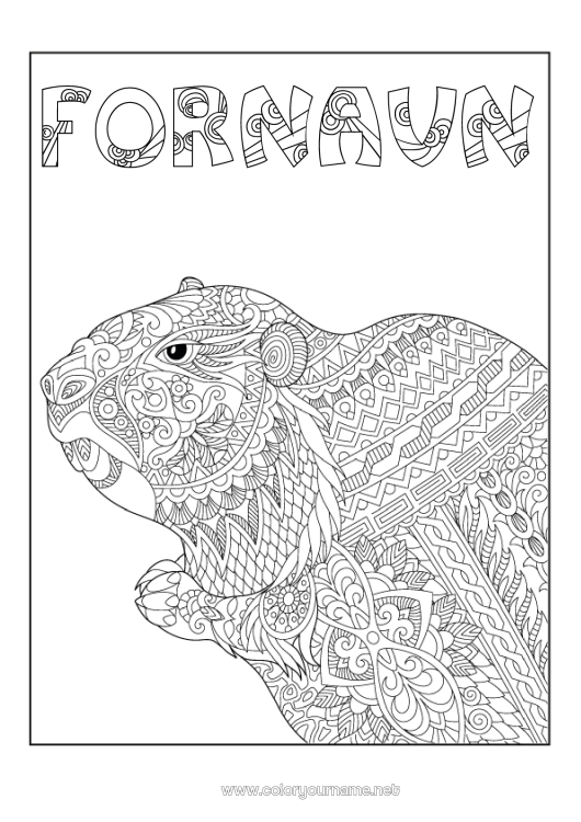 Fargeleggingssiden til utskrift Dyr Komplekse fargelegginger Zentangle Skogsdyr Marmott. Marmottdagen