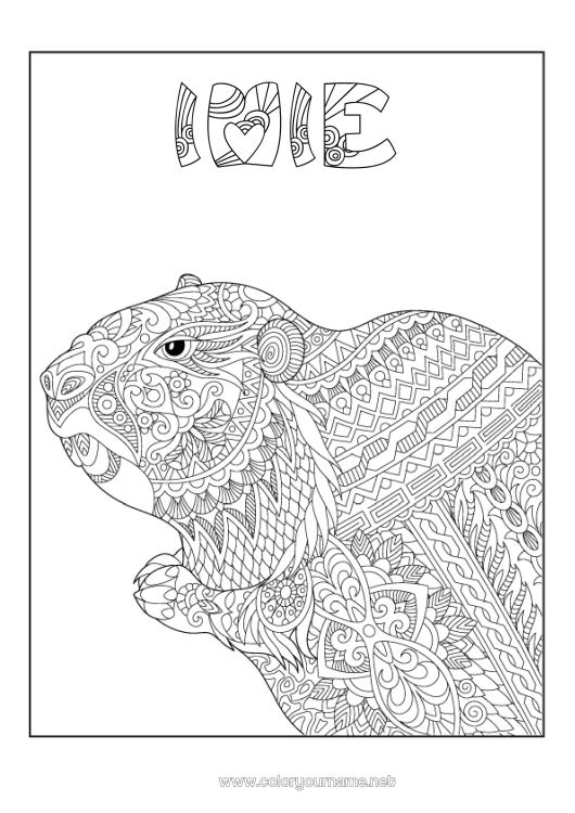 Kolorowanka do wydruku Zwierzę Złożone kolorowanki Zentangle Zwierzęta leśne Świstak Dzień Świstaka