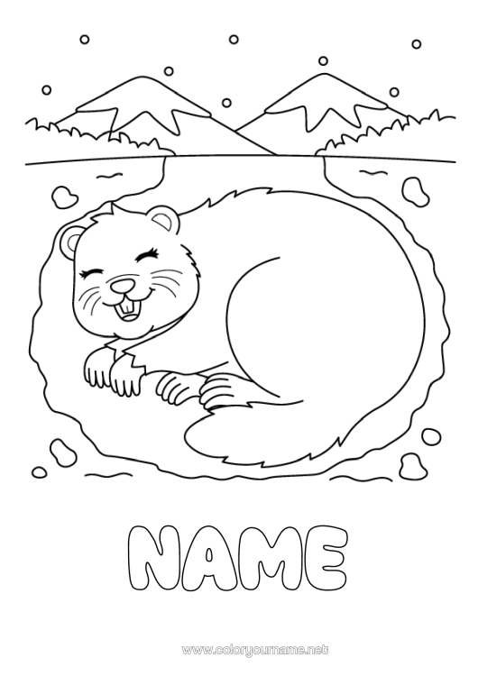 Colouring page to print Animal Forest Animals Marmot Groundhog Day Terrier