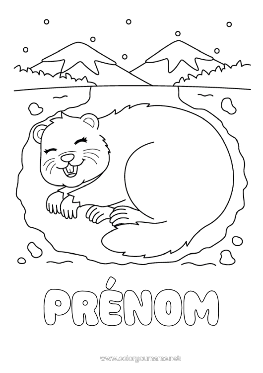 Coloriage à imprimer Animaux de la forêt Marmotte Jour de la Marmotte