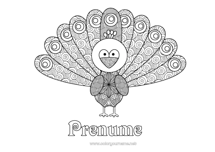 Pagină de colorat de imprimat Animal Păun Zentangle Păsări și mamifere zburătoare