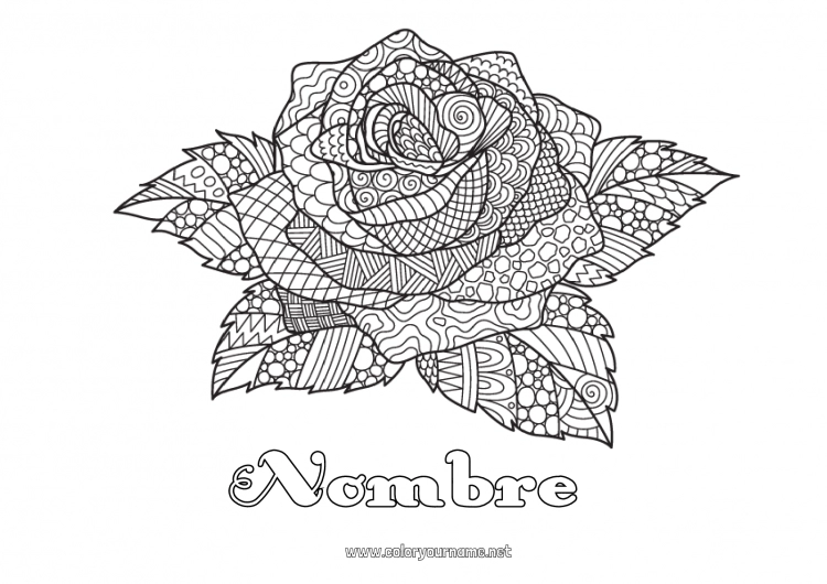 Dibujo para colorear para imprimir Rosa Dibujos complejos para colorear Zentangle Sant Jordi