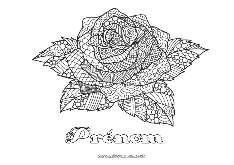 Coloriage à imprimer Rose Coloriages complexes Zentangle Sant Jordi ou Saint George