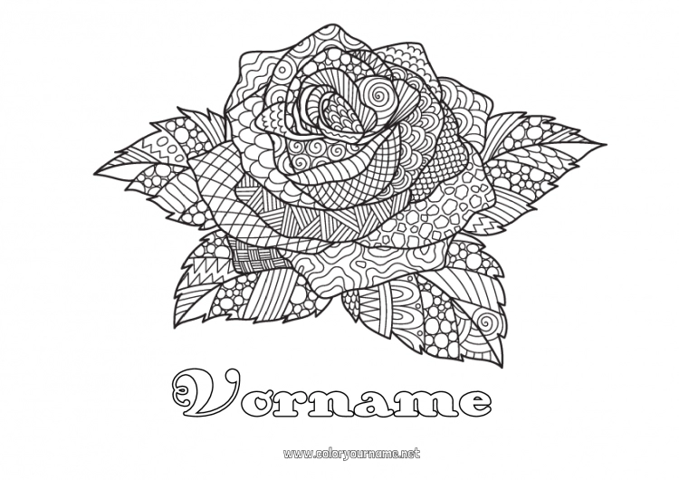 Malvorlage zum Ausdrucken Rose Komplexe Ausmalbilder Zentangle Sant Jordi oder Sankt Georg