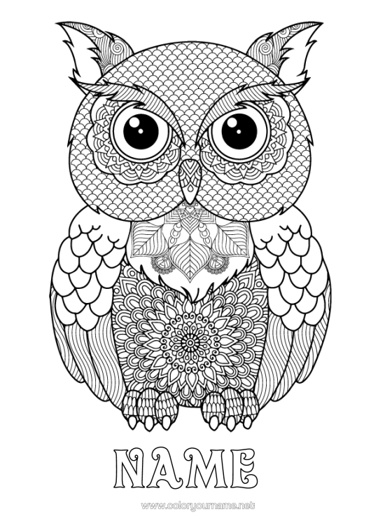 Colouring page to print Owl, Tawny Owl Animal Complex Colouring Pages Zentangle Birds And Flying Mammals