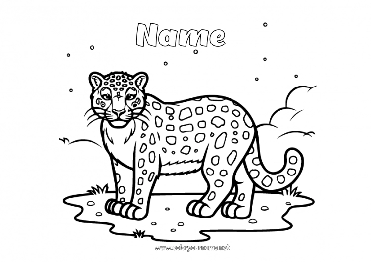 Coloring page to print Snow Animal Leopard Wild animals of Africa Panther