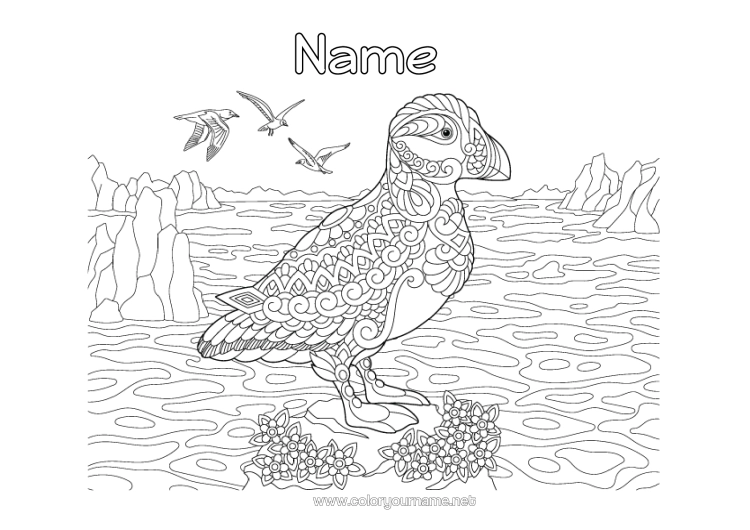 Colouring page to print Bird Sea Animal Zentangle Birds And Flying Mammals Puffin