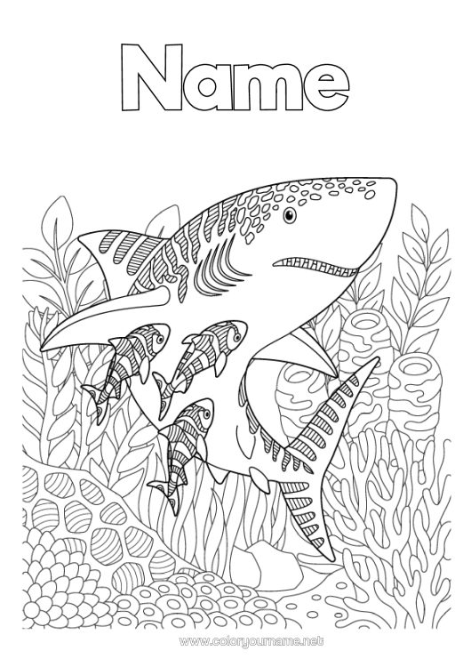 Colouring page to print Sea Animal Complex Colouring Pages Shark Zentangle Marine Or Aquatic Animals