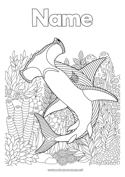 Coloring page to print Sea Complex coloring pages Shark Zentangle Marine or aquatic animals Hammerhead Shark