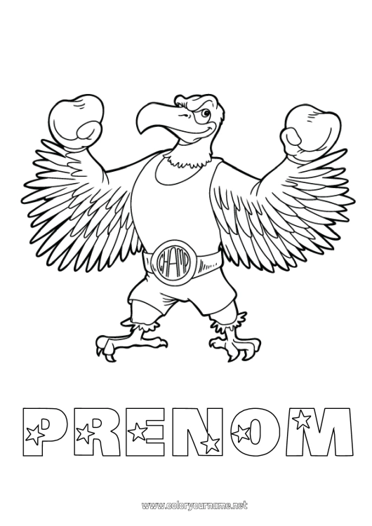 Coloriage à imprimer Animal Champion Sports de combat Aigle Boxe