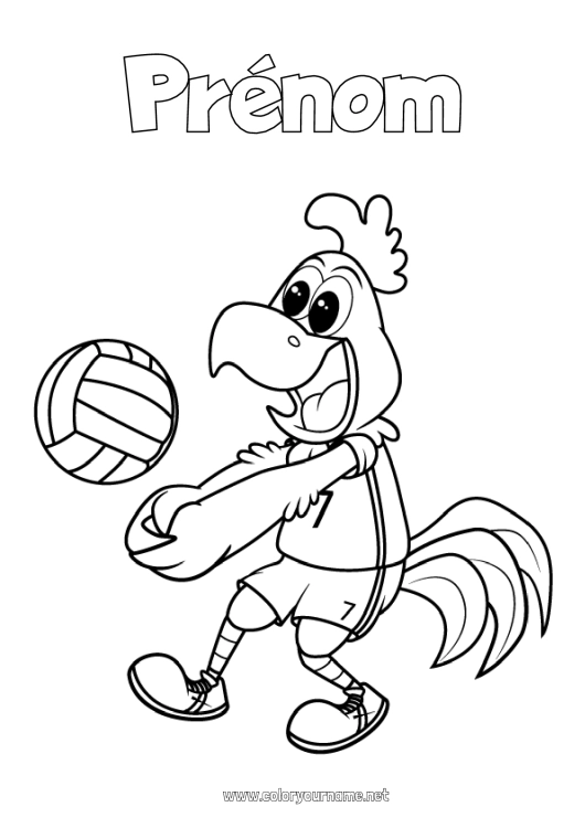 Coloriage à imprimer Sport Animal Coq Animaux de la ferme Volley ball Sports d'équipe Cartoon