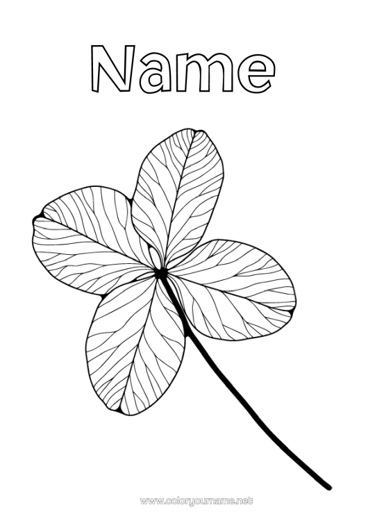 Colouring page to print Leaves Fortune Clover