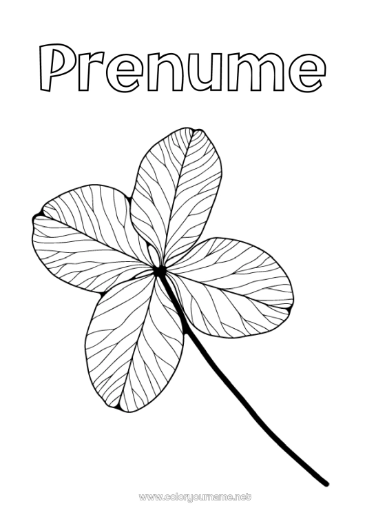 Pagină de colorat de imprimat Frunze Șansă Trifoi