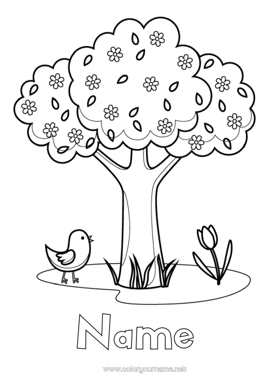 Colouring page to print Flowers Bird Spring Tree Tulip Birds And Flying Mammals
