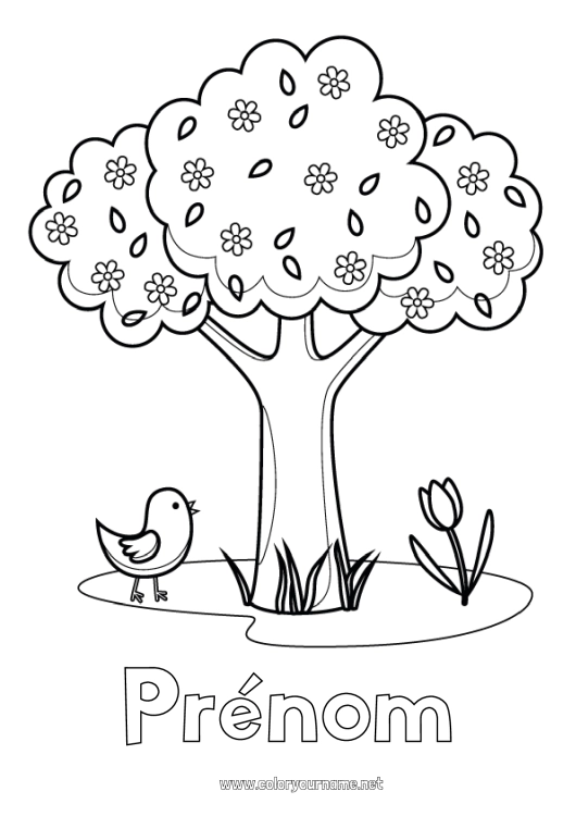 Coloriage à imprimer Oiseau Printemps Arbre Tulipe Oiseaux et mammifères volants