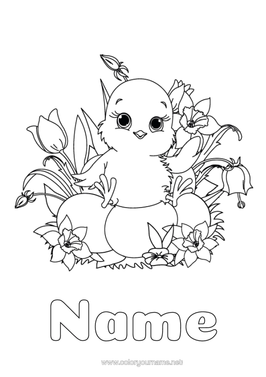 Colouring page to print Flowers Spring Chick Animal Easter Eggs Easter Daffodils Tulip Farm Animals