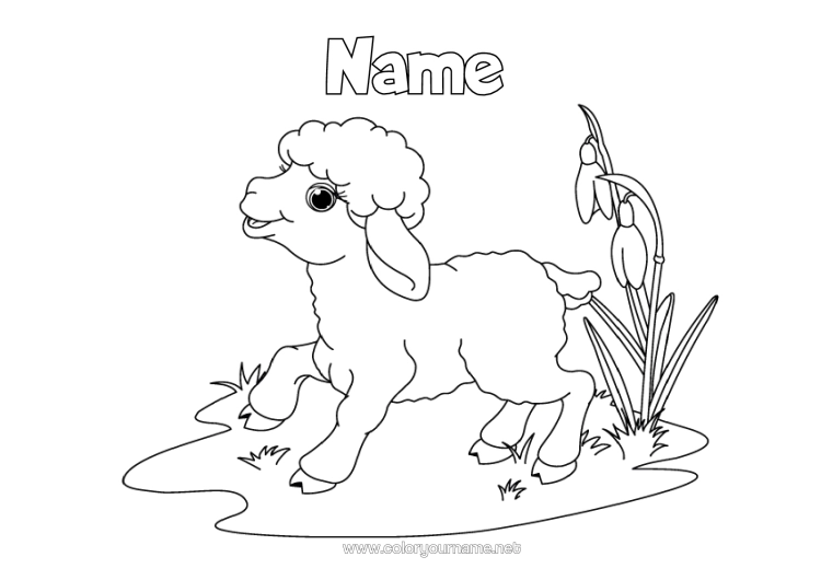 Colouring page to print Spring Animal Easter Lamb